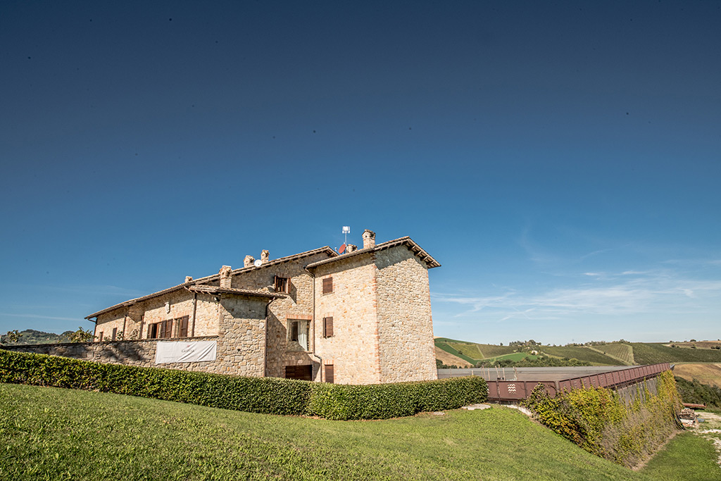 La Canosa Agricola - Affinamento vino in botti di Rovere