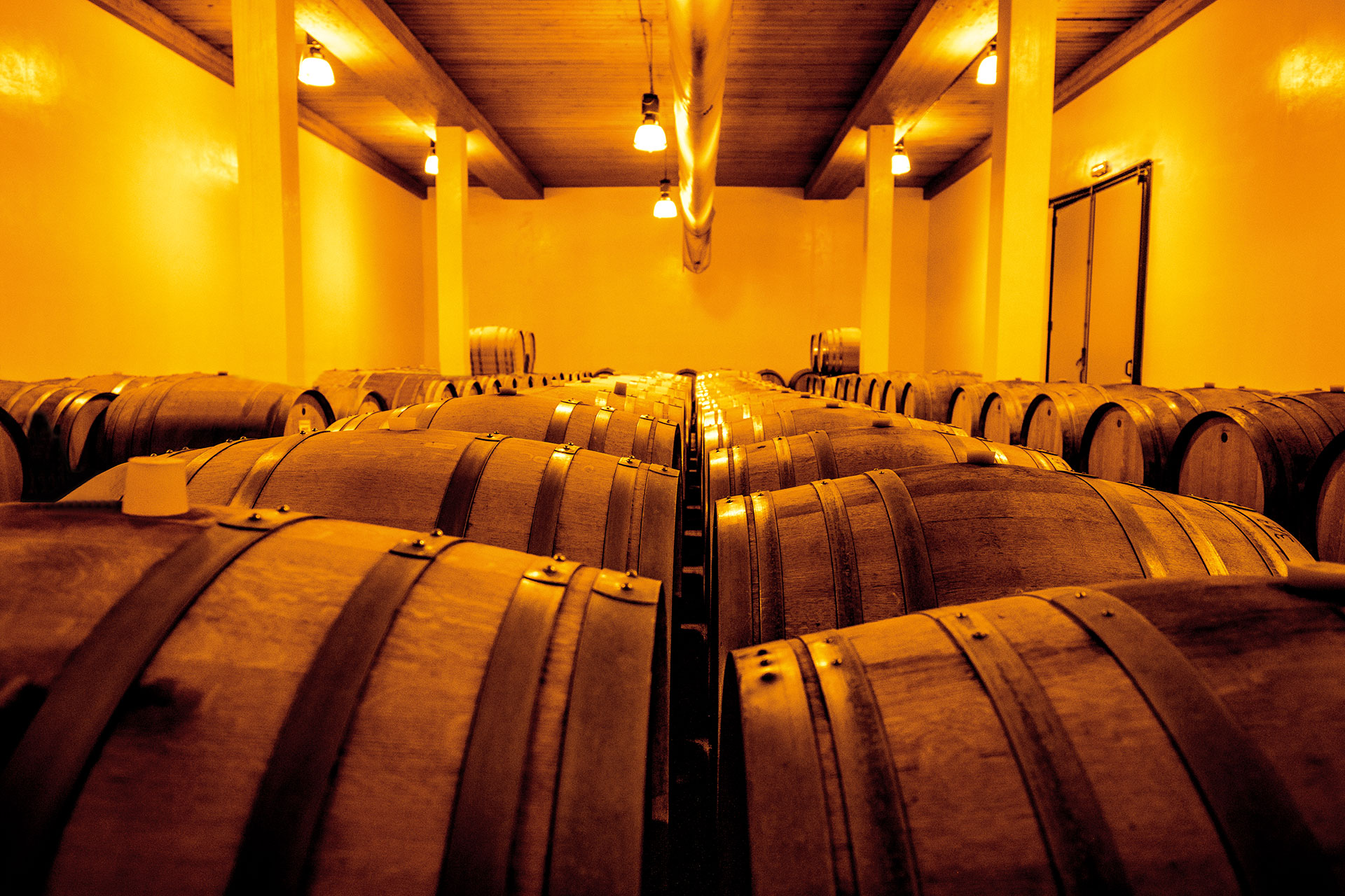 La Canosa Agricola - Winery