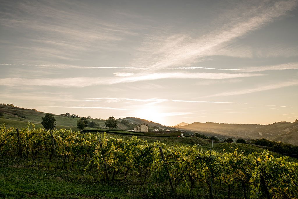 La Canosa Agricola - La nostra Tenuta