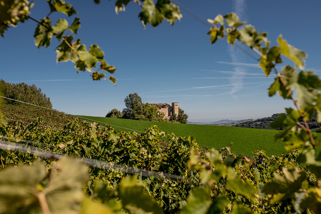 La Canosa Agricola - Our Terroir